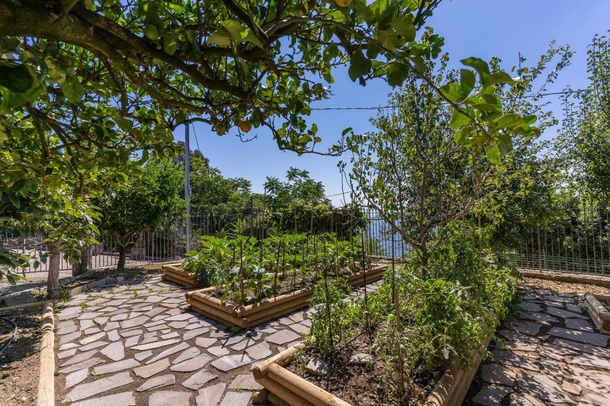 Villa Solatia Massa Lubrense Dış mekan fotoğraf