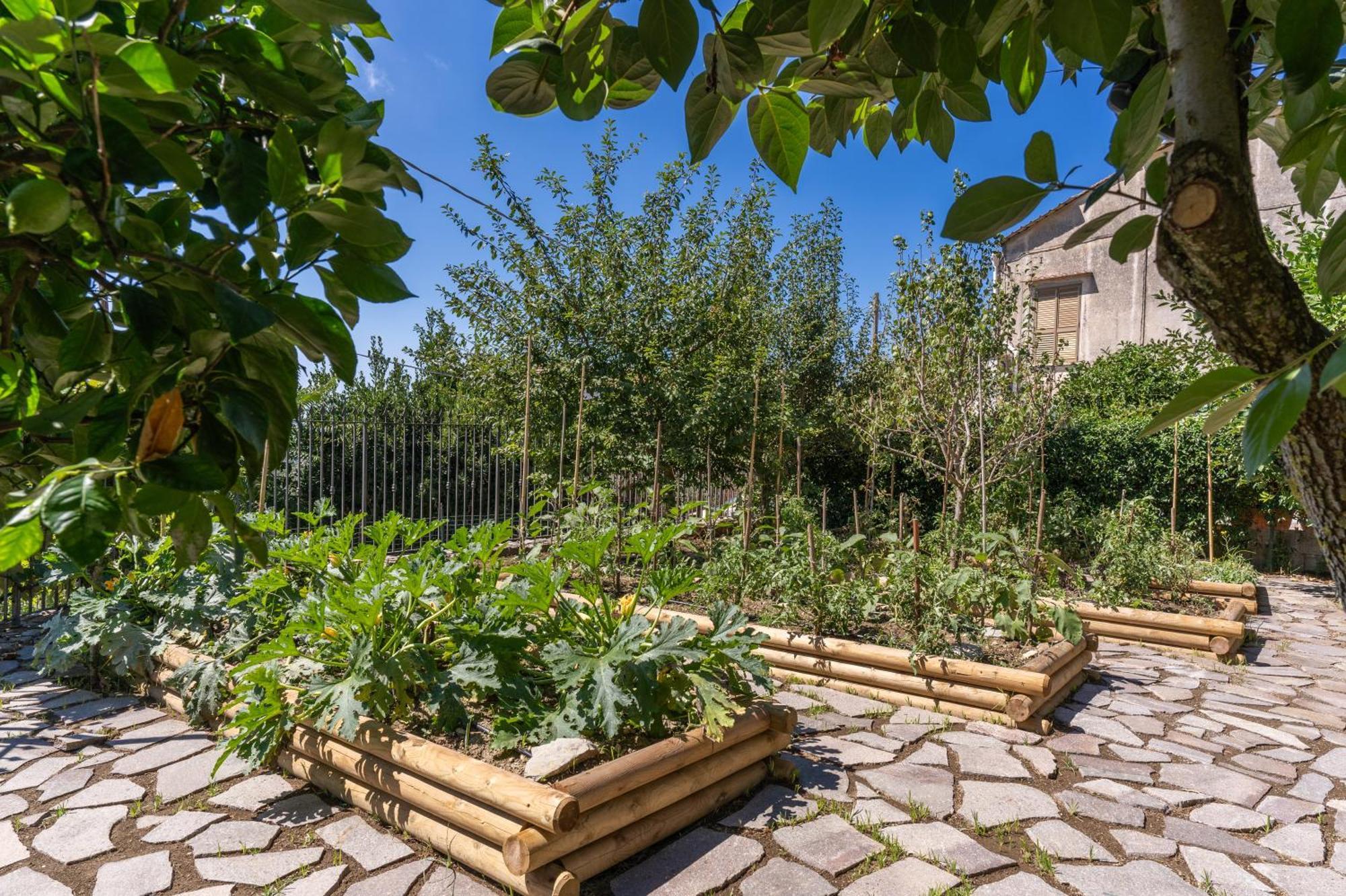 Villa Solatia Massa Lubrense Dış mekan fotoğraf